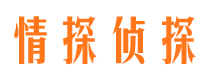 桐城找人公司